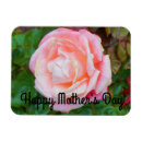 Pesquisar por rosa creme imas Primavera