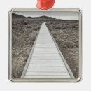 Pesquisar por seco ornamentos Deserto