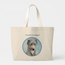 Pesquisar por escoceses acessorios Azul