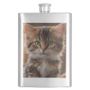 Pesquisar por gato gatinho cantis Gatos