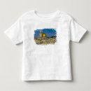 Pesquisar por cúpula camisetas Cúpula da rocha