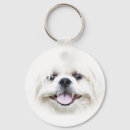 Pesquisar por shih tzu chaveiros Branco
