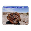 Pesquisar por floresta nacional Deserto
