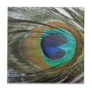 Pesquisar por peafowl Original