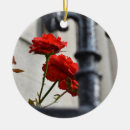 Pesquisar por rosa vermelha ornamentos Vermelho