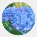 Pesquisar por hortensia adesivos Convidados