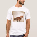 Pesquisar por varment Animal