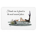 Pesquisar por peixes imas Para ela