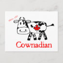 Pesquisar por moo cartoes postais Vaca