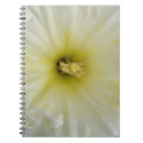 Pesquisar por do daffodil escritorio escola Branco