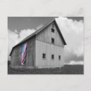 Pesquisar por nabos cartoes postais Fazenda