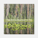 Pesquisar por saiba imas Jesus