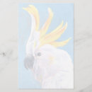 Pesquisar por mohawk Cockatoo