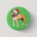 Pesquisar por bull terrier botons Natal