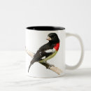 Pesquisar por aves canoras canecas Animais selvagens