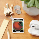 Pesquisar por tomate chaveiros Legumes