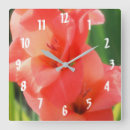 Pesquisar por gladiola Floral