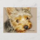 Pesquisar por yorkies cartoes postais Terrier