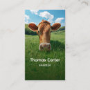 Pesquisar por vacas cartao de visita Para ele