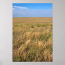 Pesquisar por nebraska pôsteres pósteres Paisagem