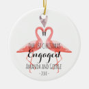 Pesquisar por flamingos ornamentos Para eles