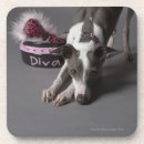 Pesquisar por diva porta copos Rosa