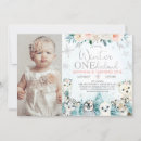 Pesquisar por animal birthday fotografia Zgrupo