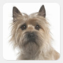 Pesquisar por cairn terrier adesivos Cachorro