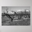 Pesquisar por paisagens preto e branco pôsteres pósteres Foto
