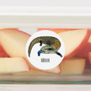 Pesquisar por pele etiquetas Qualquer pessoa