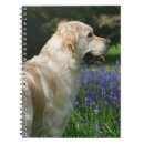 Pesquisar por golden retriever cadernos de notas Prumo e pam langrish