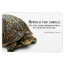 Pesquisar por tiras imas Qualquer pessoa