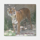 Pesquisar por zoo imas Fotografia