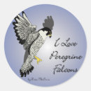 Pesquisar por peregrino adesivos Peregrina