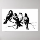 Pesquisar por pássaros vintage pôsteres pósteres Antiguidade