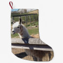 Pesquisar por alpacas meias de natal Qualquer pessoa