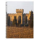 Pesquisar por syrah Vinifera