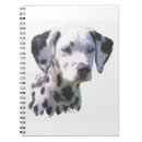 Pesquisar por dalmation Cachorrinho