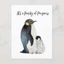 Pesquisar por pinguim do bebê cartoes postais Pinguins