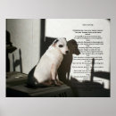 Pesquisar por poema do cão pôsteres pósteres Salvamento