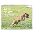 Pesquisar por filhotes de cachorro calendarios Bonito