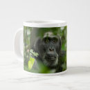 Pesquisar por chimpanzé canecas Vida selvagem