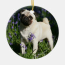 Pesquisar por jovem corça ornamentos Pug