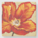 Pesquisar por tulipas porta copos Floral