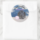 Pesquisar por suíno adesivos Qualquer crinaça