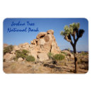 Pesquisar por parque nacional da árvore Deserto de mojave