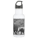 Pesquisar por áfrica garrafa agua Safari