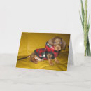 Pesquisar por dachshund vermelho cartoes Fofofo