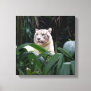 Pesquisar por fauna impressão de canvas Selva