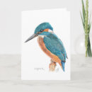 Pesquisar por kingfisher cartoes Azul